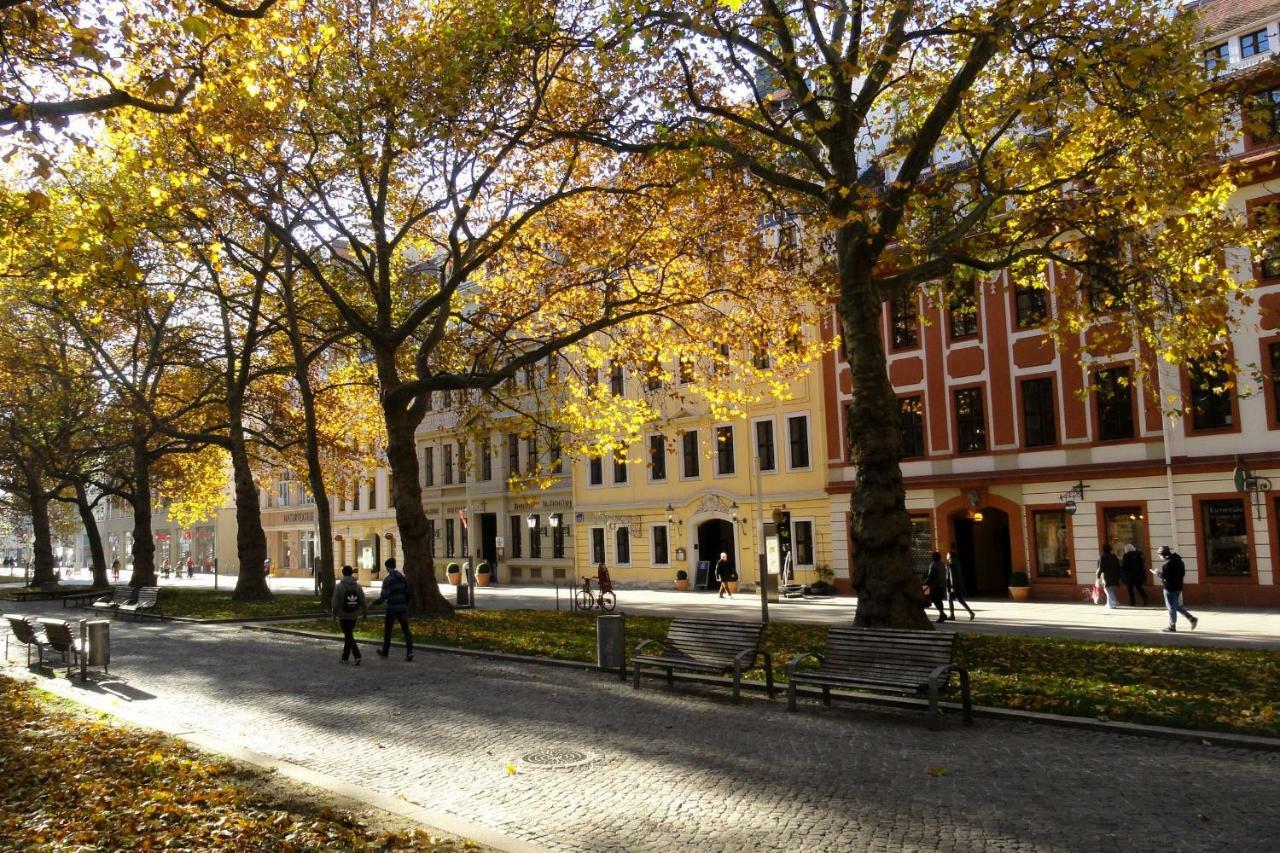 Fewo Canaletto Im Stadtzentrum Dresden Bagian luar foto
